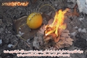 چگونه با لیمو آتش درست کنیم
